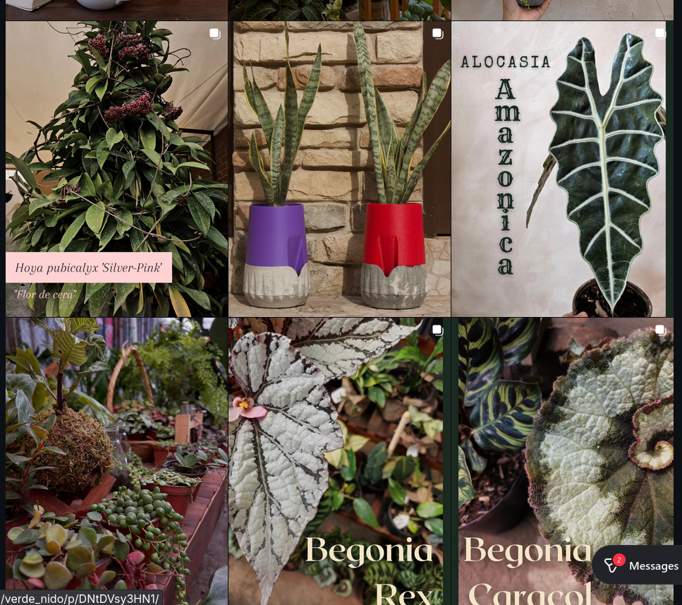 Plant product reference